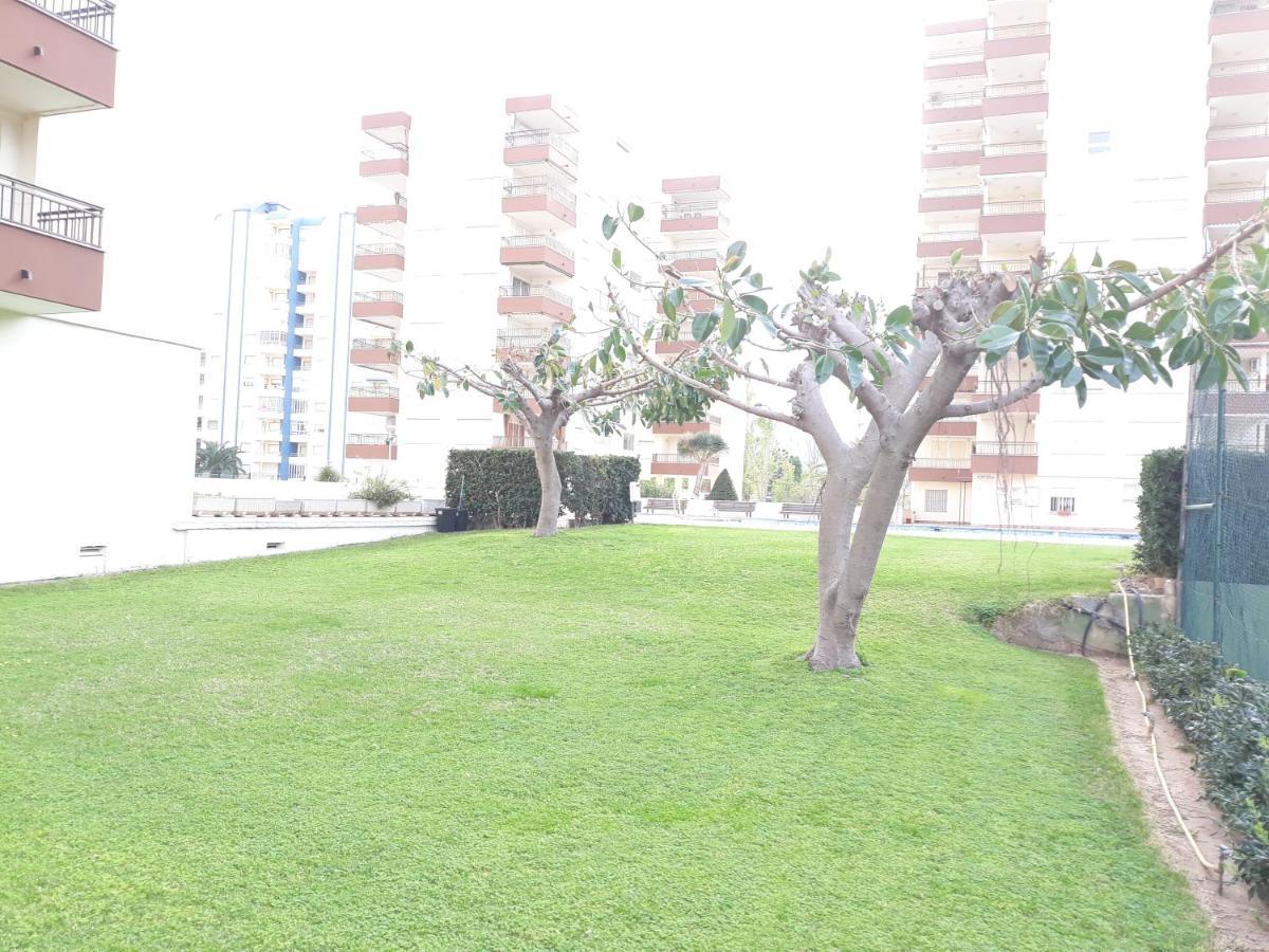 Valldigna 7 Playa De Gandia Solo Familias المظهر الخارجي الصورة