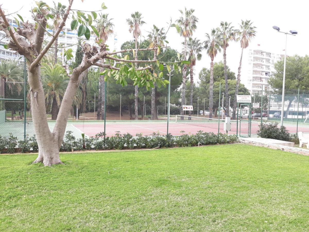 Valldigna 7 Playa De Gandia Solo Familias المظهر الخارجي الصورة