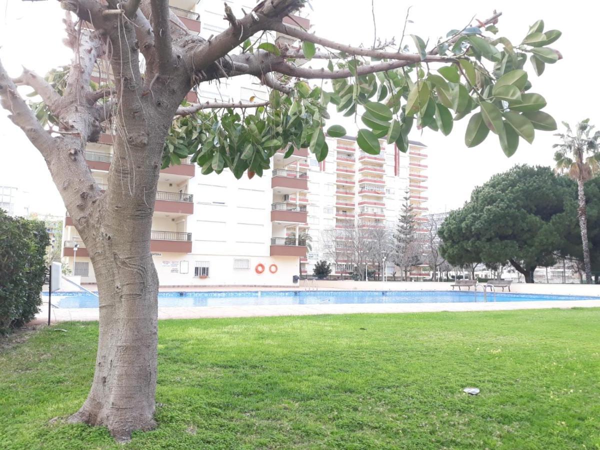Valldigna 7 Playa De Gandia Solo Familias المظهر الخارجي الصورة